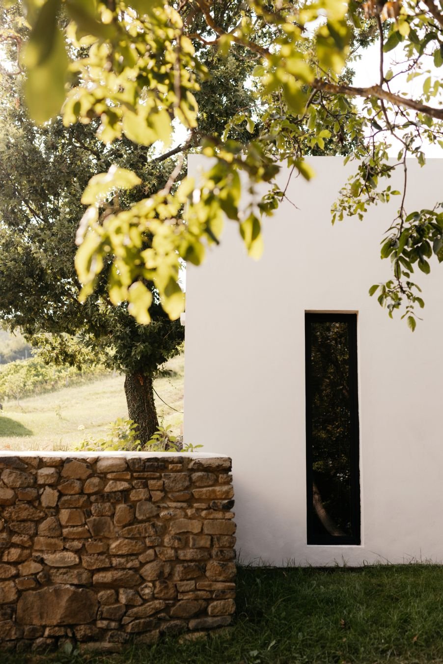 Sazü Oak. gy modern, fehér épület magas, keskeny fekete ablakkal, fákkal körülvéve, 30 m2-es tetőtéri terasszal.